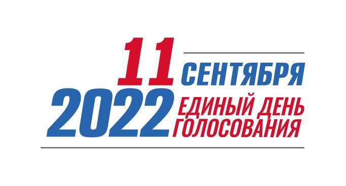 Явка на выборах в Нижегородской области составила 28,73% - фото 1