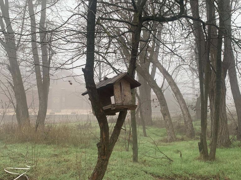 Источник: ДОМОСТРОЙДОН.РУ