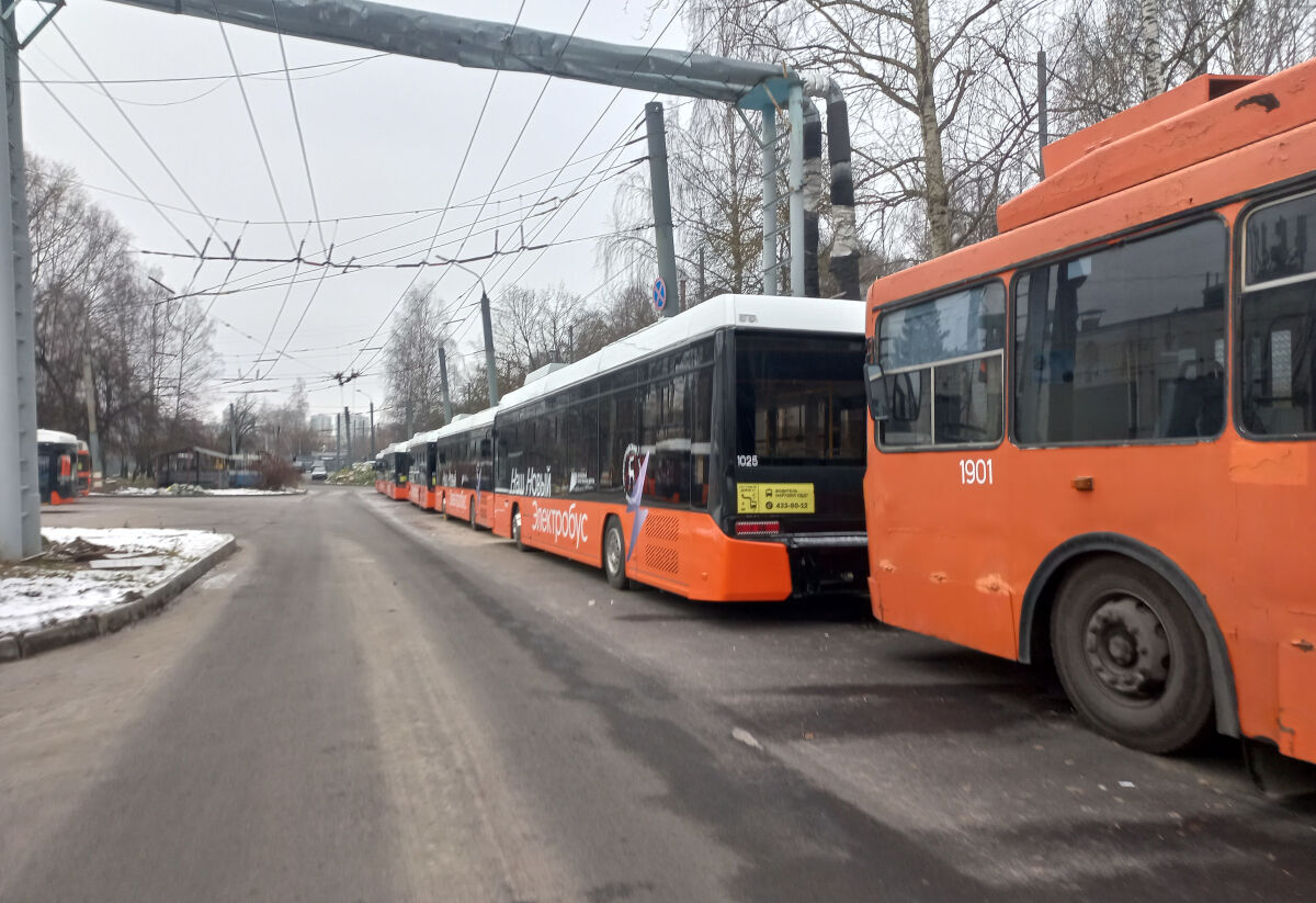 Нижегородцы вновь обратились к Бастрыкину из-за отмены троллейбусов - фото 1