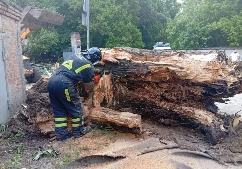 В Ростове после непогоды убрали 43 дерева и починили 13 ЛЭП - фото 1