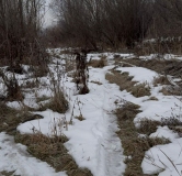 Ход строительства дома 3, секция 3.1 в ЖК Расцветай в Новолуговом -