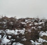 Ход строительства дома 8 в ЖК Расцветай на Зорге -