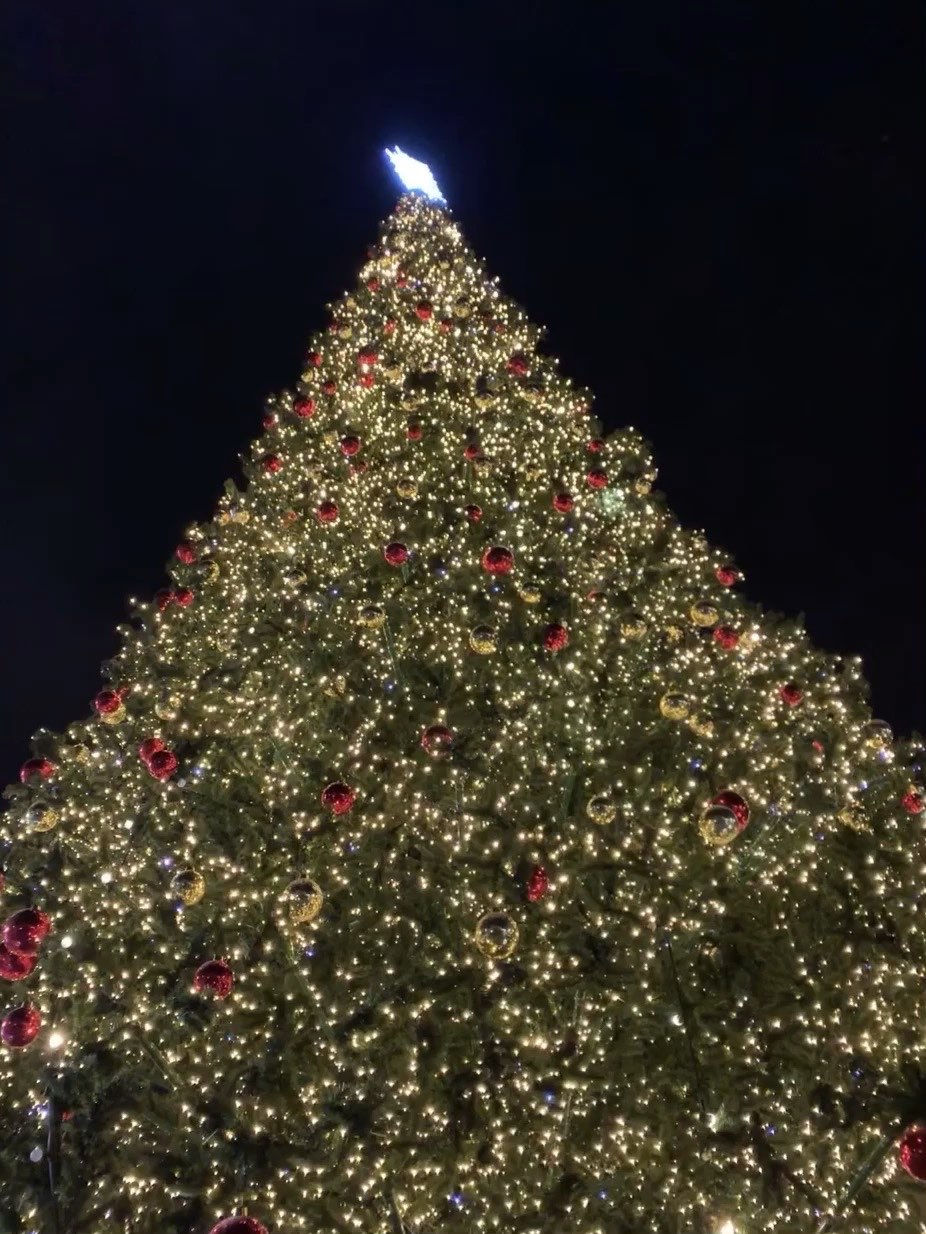Первую новогоднюю елку Нижнего Новгорода устанавливают в Сормове - фото 1