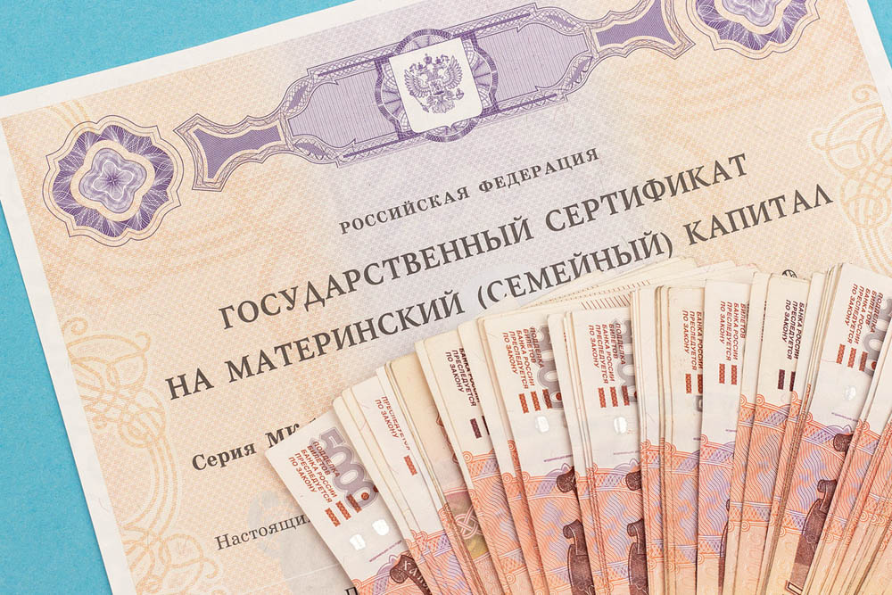 Почти 60% ростовских семей полностью потратили материнский капитал