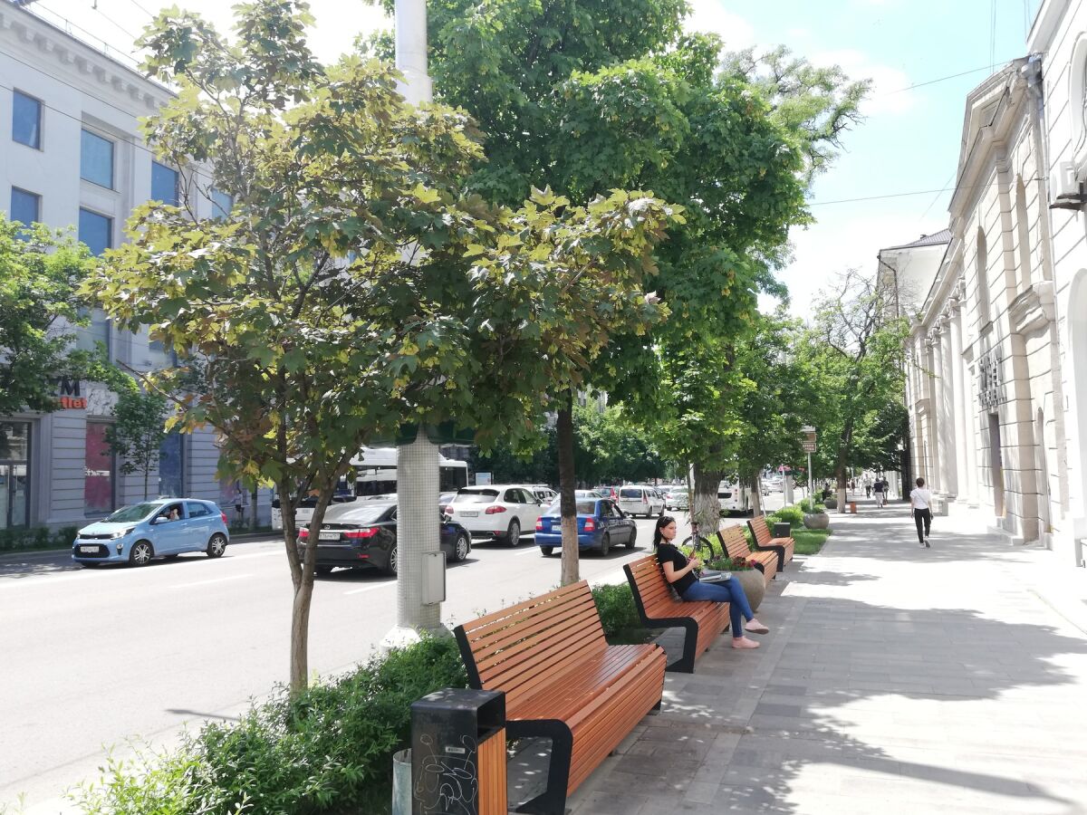 В Ростове появится «зеленый пояс» для сохранения лесов вокруг города  - фото 1