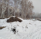 Ход строительства дома 7 в ЖК Расцветай на Зорге -