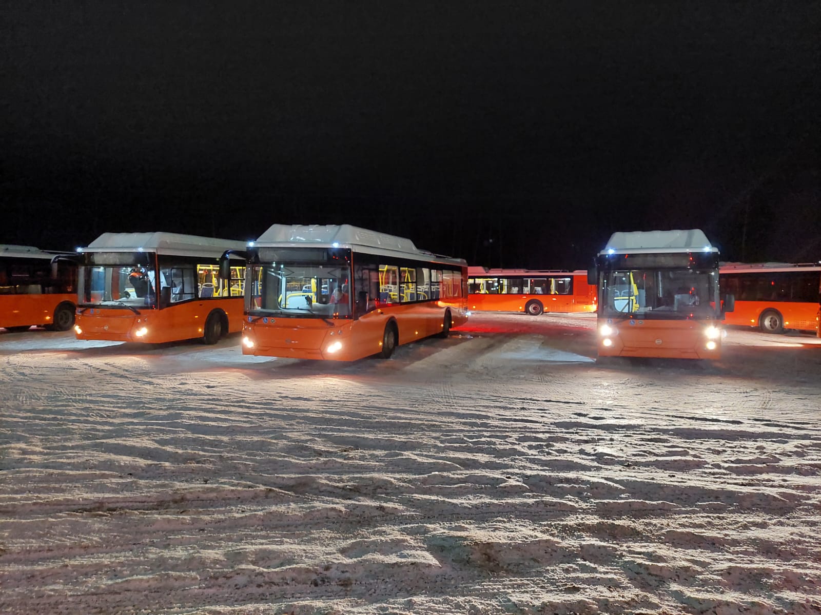 Нижний Новгород получил 32 новых автобуса на газомоторном топливе  - фото 1