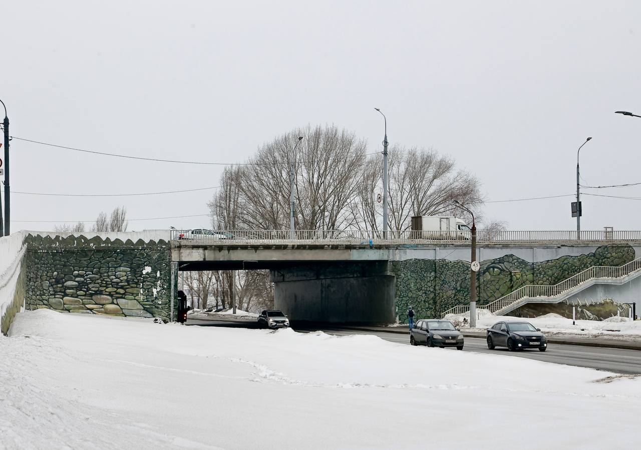 Ремонт подпорной стенки Канавинского моста начался в Нижнем Новгороде - фото 1